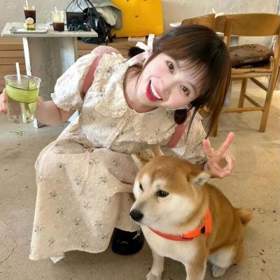 四人帮翻转校园