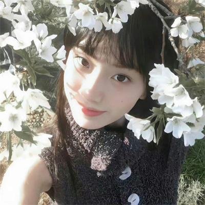 狐妖小红娘月红篇